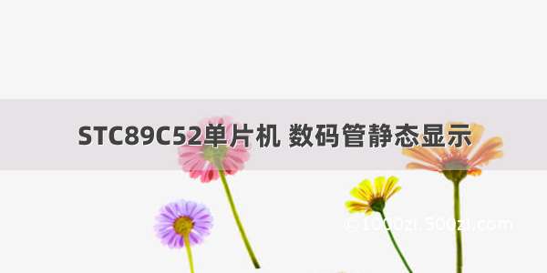 STC89C52单片机 数码管静态显示