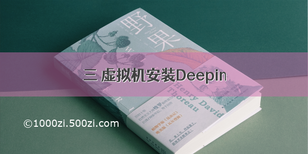 三 虚拟机安装Deepin