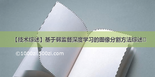 【技术综述】基于弱监督深度学习的图像分割方法综述​