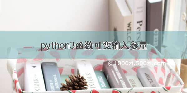 python3函数可变输入参量