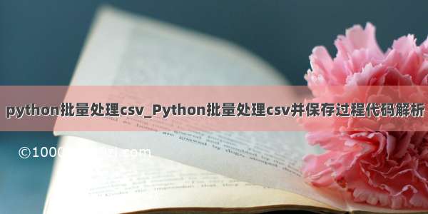 python批量处理csv_Python批量处理csv并保存过程代码解析