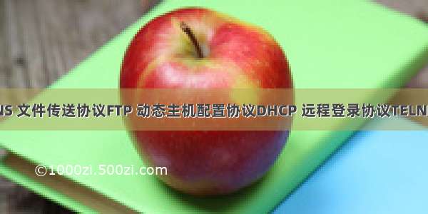 域名系统DNS 文件传送协议FTP 动态主机配置协议DHCP 远程登录协议TELNET 电子邮件