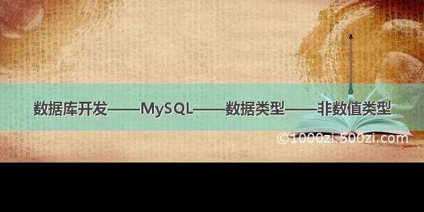 数据库开发——MySQL——数据类型——非数值类型