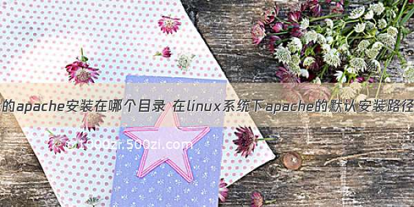 linux的apache安装在哪个目录 在linux系统下apache的默认安装路径在哪