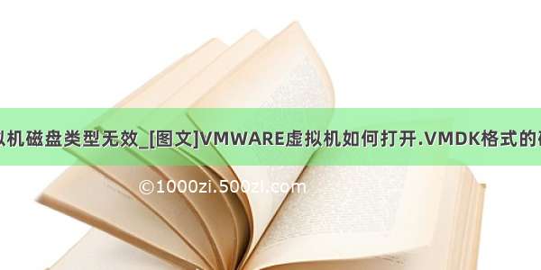 打开虚拟机磁盘类型无效_[图文]VMWARE虚拟机如何打开.VMDK格式的磁盘映像