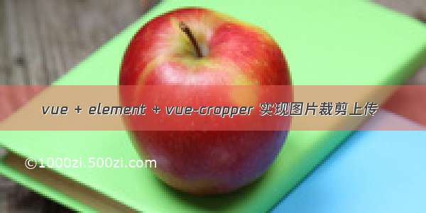 vue + element + vue-cropper 实现图片裁剪上传