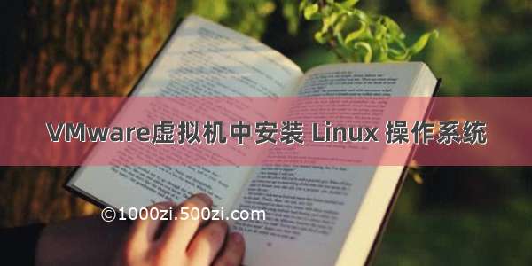 VMware虚拟机中安装 Linux 操作系统