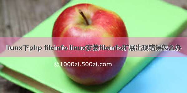 liunx下php fileinfo linux安装fileinfo扩展出现错误怎么办