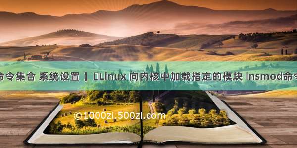 【Shell 命令集合 系统设置 】⭐Linux 向内核中加载指定的模块 insmod命令 使用指南