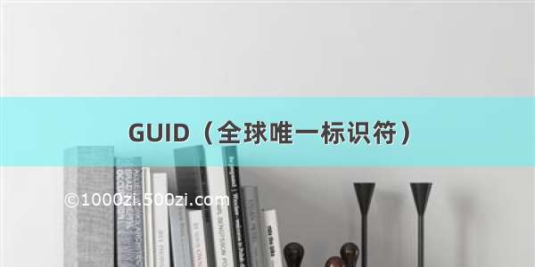 GUID（全球唯一标识符）