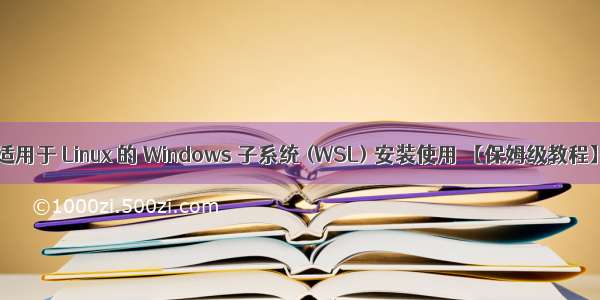 适用于 Linux 的 Windows 子系统 (WSL) 安装使用 【保姆级教程】