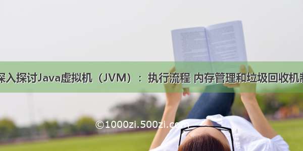 深入探讨Java虚拟机（JVM）：执行流程 内存管理和垃圾回收机制