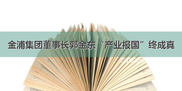 金浦集团董事长郭金东“产业报国”终成真