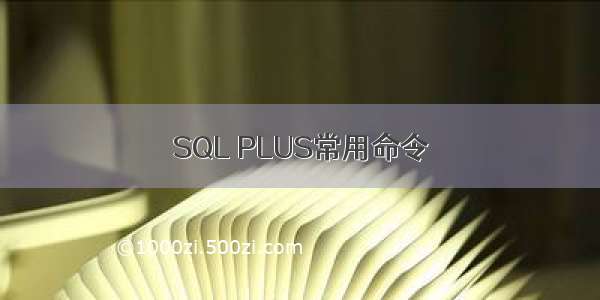 SQL PLUS常用命令