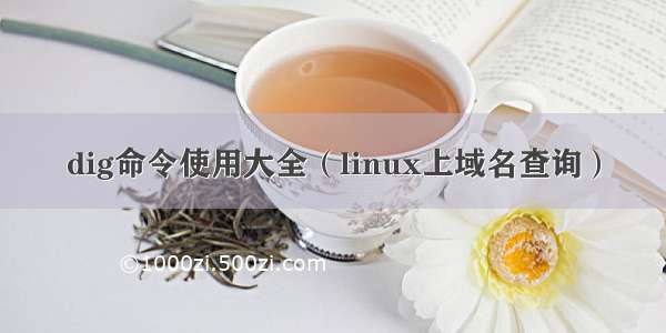 dig命令使用大全（linux上域名查询）