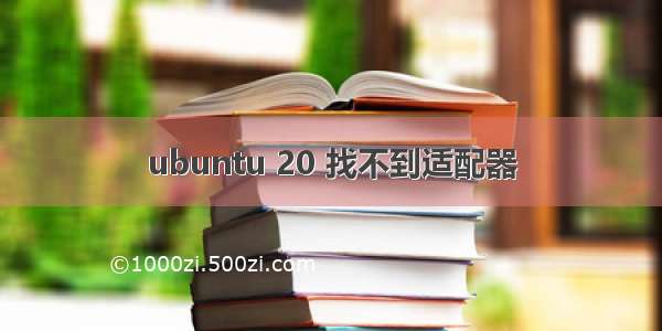 ubuntu 20 找不到适配器