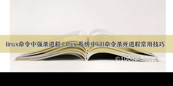 linux命令中强杀进程 Linux 系统中kill命令杀死进程常用技巧