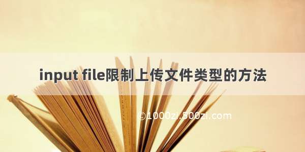 input file限制上传文件类型的方法