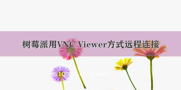 树莓派用VNC Viewer方式远程连接