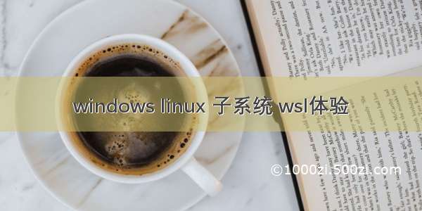 windows linux 子系统 wsl体验