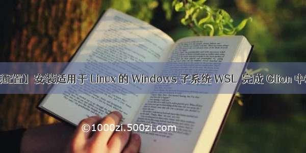 【安装配置】安装适用于 Linux 的 Windows 子系统 WSL  完成 Clion 中对内存