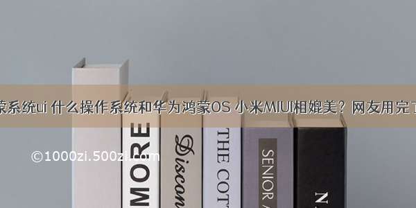 小米用鸿蒙系统ui 什么操作系统和华为鸿蒙OS 小米MIUI相媲美？网友用完了说真香...