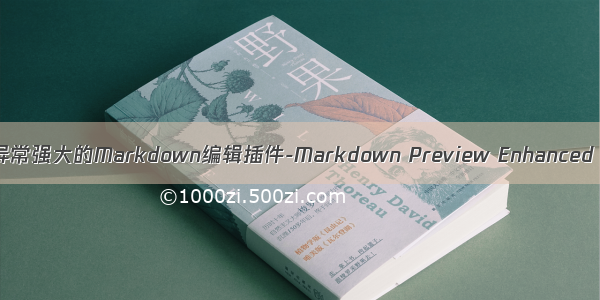 异常强大的Markdown编辑插件-Markdown Preview Enhanced