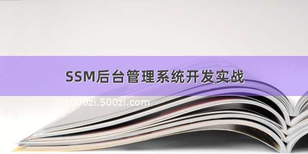 SSM后台管理系统开发实战