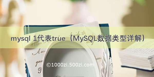 mysql 1代表true（MySQL数据类型详解）