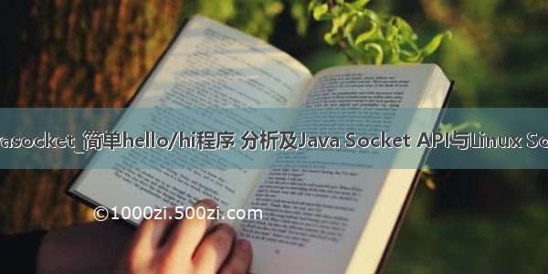 api有哪些 javasocket_简单hello/hi程序 分析及Java Socket API与Linux Socket API对比