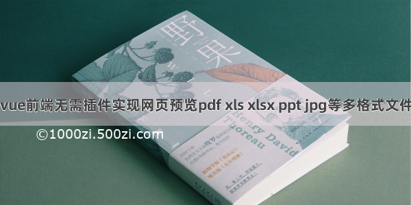 vue前端无需插件实现网页预览pdf xls xlsx ppt jpg等多格式文件