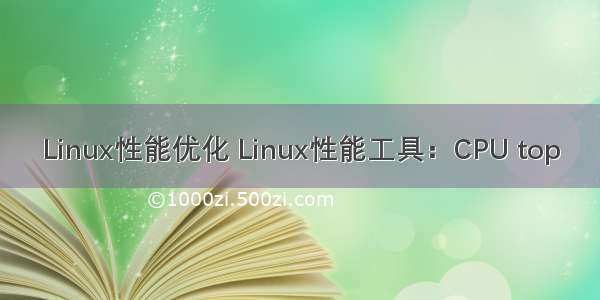 Linux性能优化 Linux性能工具：CPU top