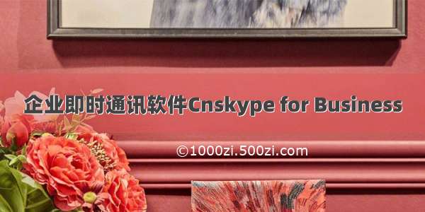 企业即时通讯软件Cnskype for Business