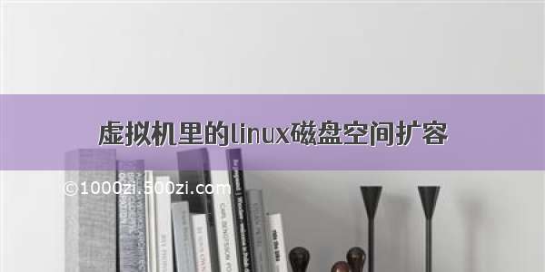 虚拟机里的linux磁盘空间扩容