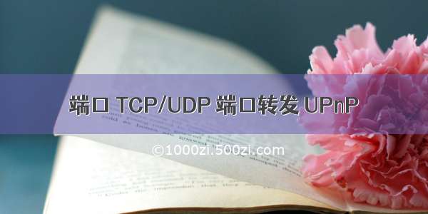 端口 TCP/UDP 端口转发 UPnP