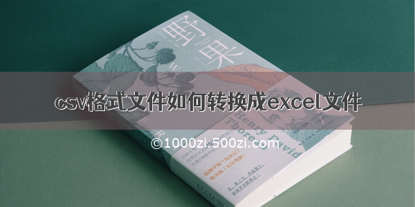 csv格式文件如何转换成excel文件