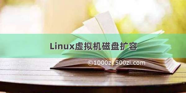 Linux虚拟机磁盘扩容