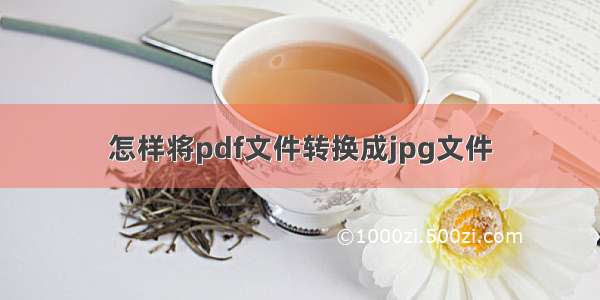 怎样将pdf文件转换成jpg文件