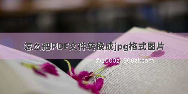 怎么把PDF文件转换成jpg格式图片