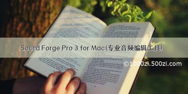 Sound Forge Pro 3 for Mac(专业音频编辑工具)