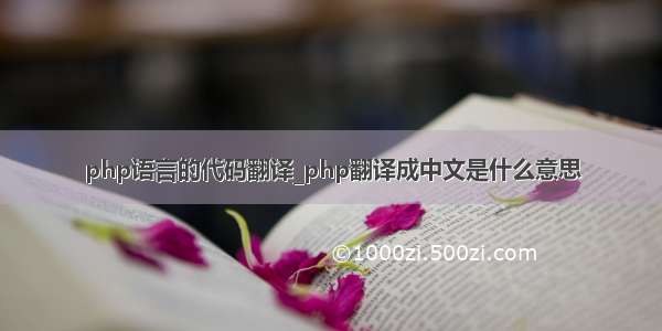 php语言的代码翻译_php翻译成中文是什么意思