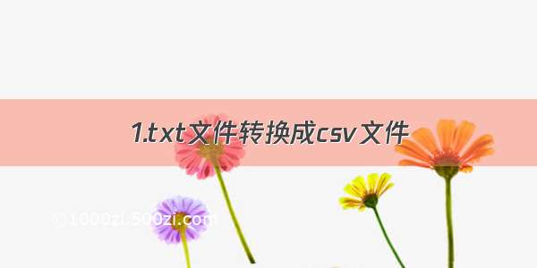 1.txt文件转换成csv文件