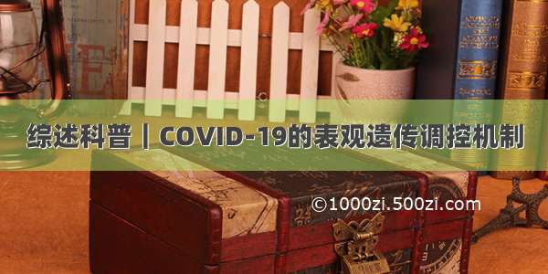 综述科普｜COVID-19的表观遗传调控机制