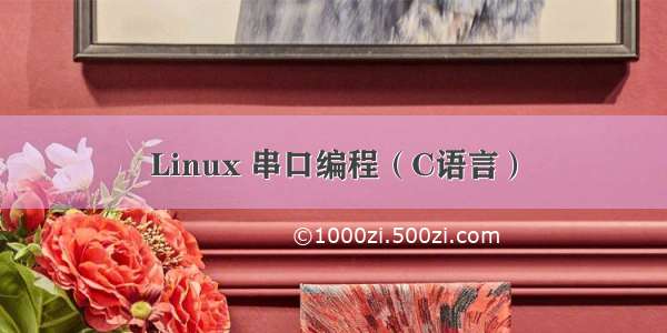 Linux 串口编程（C语言）