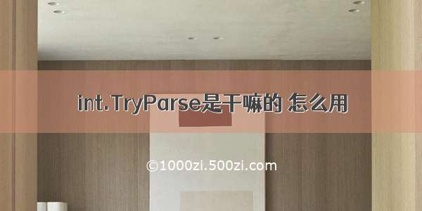 int.TryParse是干嘛的 怎么用