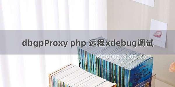 dbgpProxy php 远程xdebug调试