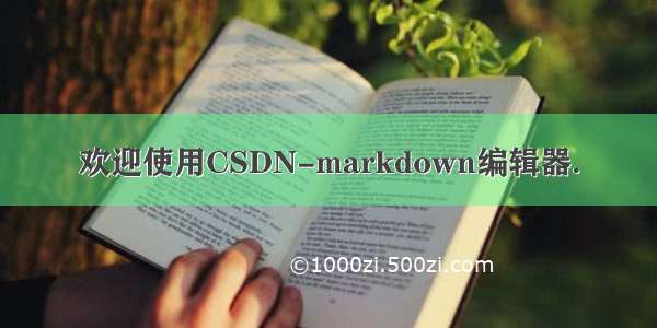 欢迎使用CSDN-markdown编辑器.