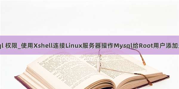 xshell mysql 权限_使用Xshell连接Linux服务器操作Mysql给Root用户添加远程访问权限