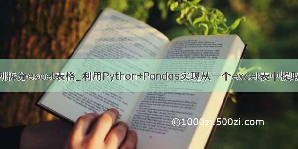 python按某列拆分excel表格_利用Python+Pandas实现从一个excel表中提取列形成新表