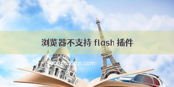 浏览器不支持 flash 插件